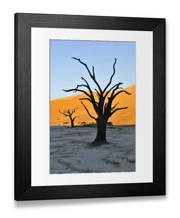 Framed Print : Dead trees in Deadvlei in the morning light, Namib Desert, Namib Naukluft Park, Namibia, Africa Framed Print : Dead trees in Deadvlei in the morning light, Namib Desert, Namib Naukluft Park, Namibia, Africa
