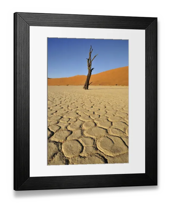 Framed Print : Dead tree in the Dead Vlei, Deadvlei clay pan in the morning light, Namib Desert, Namib-Naukluft National Park, Namibia, Africa Framed Print : Dead tree in the Dead Vlei, Deadvlei clay pan in the morning light, Namib Desert, Namib-Naukluft National Park, Namibia, Africa
