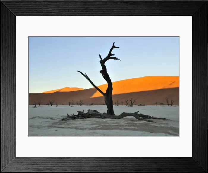 Framed Print : Dead tree in Deadvlei in the morning light, Namib Desert, Namib Naukluft Park, Namibia, Africa Framed Print : Dead tree in Deadvlei in the morning light, Namib Desert, Namib Naukluft Park, Namibia, Africa