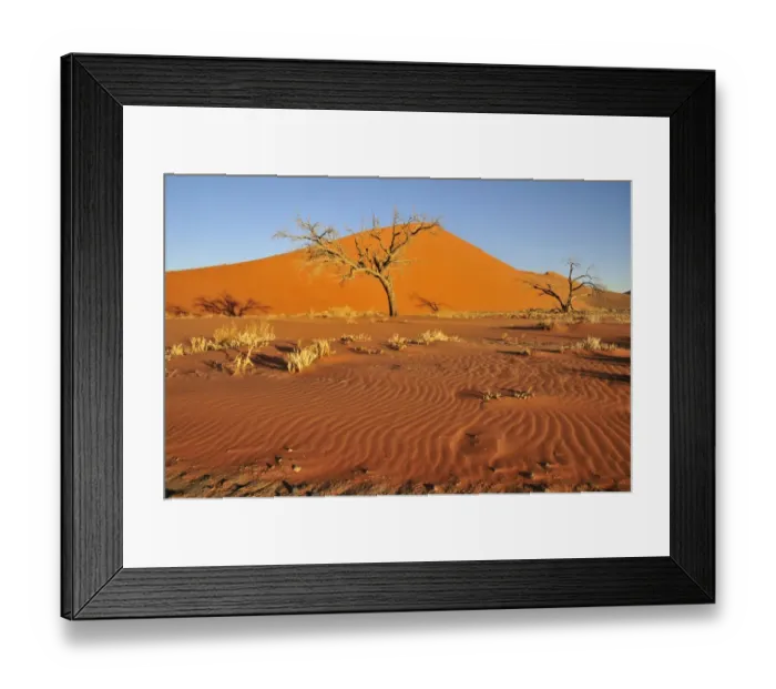 Framed Print : Dune 45 near Sossusvlei, Namib Desert, Namib Naukluft Park, Namibia, Africa Framed Print : Dune 45 near Sossusvlei, Namib Desert, Namib Naukluft Park, Namibia, Africa