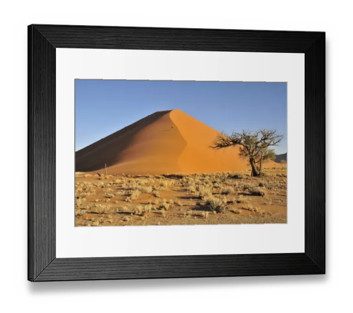 Framed Print : Sand dune in the afternoon light near Sossusvlei, Namib Desert, Namib Naukluft Park, Namibia, Africa Framed Print : Sand dune in the afternoon light near Sossusvlei, Namib Desert, Namib Naukluft Park, Namibia, Africa