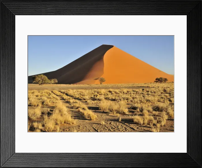 Framed Print : Sand dune in the afternoon light near Sossusvlei, Namib Desert, Namib Naukluft Park, Namibia, Africa