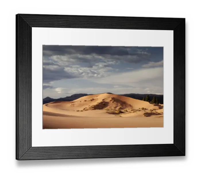 Framed Print : Coral Pink Sand Dunes State Park, Utah, USA, America Framed Print : Coral Pink Sand Dunes State Park, Utah, USA, America