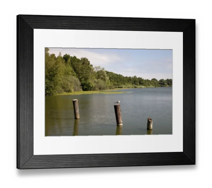 Framed Print : Eutiner See Lake, Holstein Switzerland Nature Park, Schleswig-Holstein, Germany, Europe Framed Print : Eutiner See Lake, Holstein Switzerland Nature Park, Schleswig-Holstein, Germany, Europe