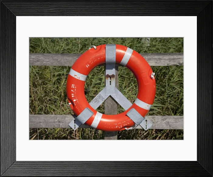 Framed Print : Lifebuoy Framed Print : Lifebuoy