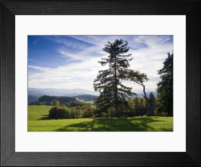 Framed Print : Panorama near St Maergen, southern Black Forest, Baden-Wuerttemberg, Germany, Europe Framed Print : Panorama near St Maergen, southern Black Forest, Baden-Wuerttemberg, Germany, Europe