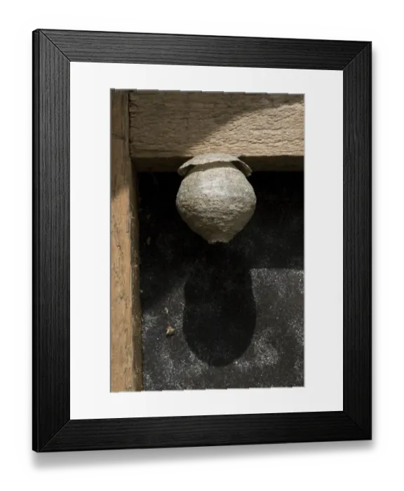 Framed Print : Wasp nest in a barn Framed Print : Wasp nest in a barn