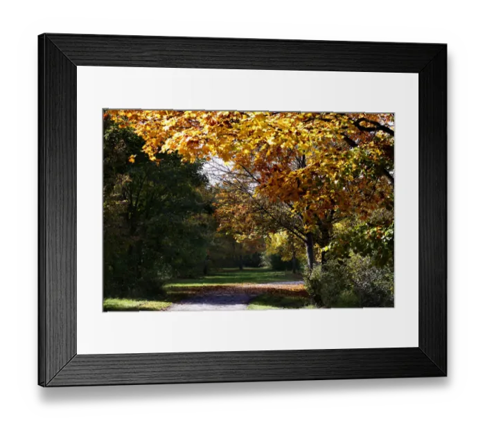 Framed Print : Alley in autumn, Ingolstadt, Bavaria, Germany, Europe Framed Print : Alley in autumn, Ingolstadt, Bavaria, Germany, Europe