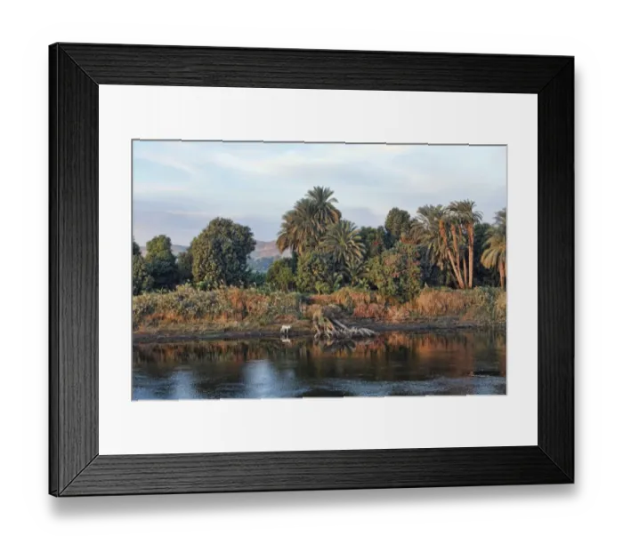 Framed Print : Bank of the Nile, Egypt, Africa