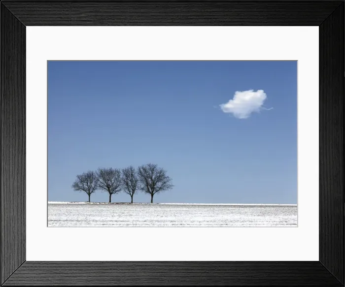 Framed Print : Four walnut trees in the winter with snow, Southern Palatinate, Rhineland-Palatinate, Germany, Europe Framed Print : Four walnut trees in the winter with snow, Southern Palatinate, Rhineland-Palatinate, Germany, Europe
