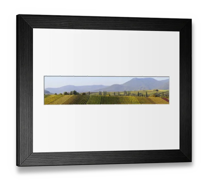 Framed Print : Panoramic photo of the vineyards in autumn between Ilbesheim and Arzheim in the Southern Palatinate, Rhineland-Palatinate, Germany, Europe Framed Print : Panoramic photo of the vineyards in autumn between Ilbesheim and Arzheim in the Southern Palatinate, Rhineland-Palatinate, Germany, Europe