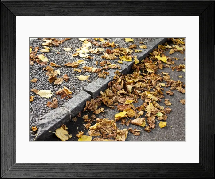 Framed Print : Autumn foliage on a street