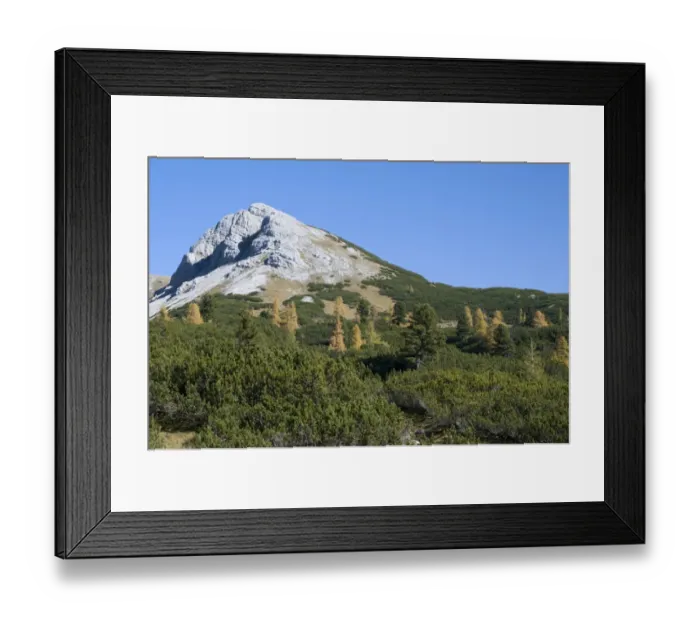 Framed Print : Autumn at the Hochmoelbing mountain, Styria, Austria, Europe