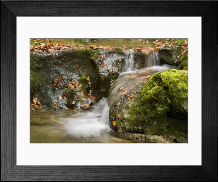 Framed Print : Oetschergraben nature reserve near Mitterbach am Erlaufsee, Lower Austria, Austria, Europe Framed Print : Oetschergraben nature reserve near Mitterbach am Erlaufsee, Lower Austria, Austria, Europe