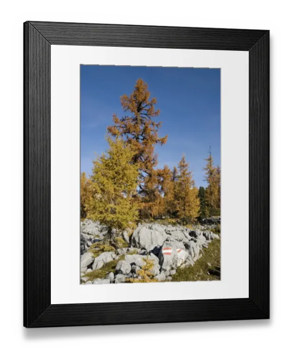 Framed Print : Autumn at the Hochmoelbing mountain, Styria, Austria, Europe Framed Print : Autumn at the Hochmoelbing mountain, Styria, Austria, Europe