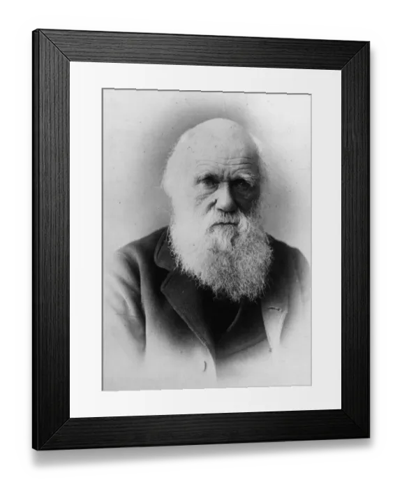 Framed Print : Charles Darwin Framed Print : Charles Darwin