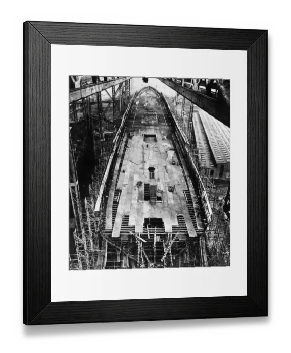 Framed Print : The Leviathan Framed Print : The Leviathan