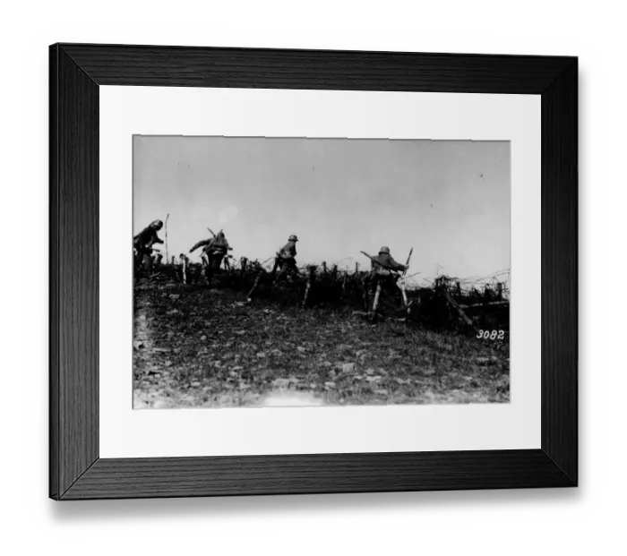 Framed Print : Through The Wire Framed Print : Through The Wire