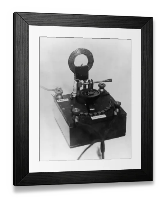 Framed Print : Catfs Whisker Framed Print : Catfs Whisker