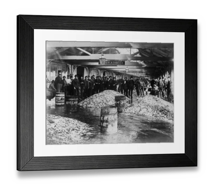 Framed Print : Fish Market Framed Print : Fish Market