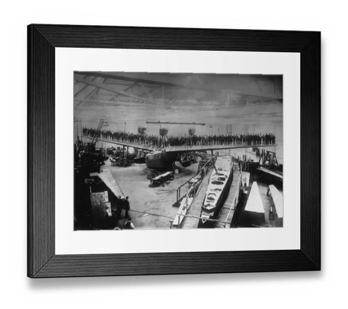 Framed Print : Out On A Wing Framed Print : Out On A Wing