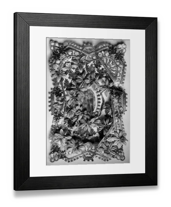 Framed Print : My Valentine Framed Print : My Valentine