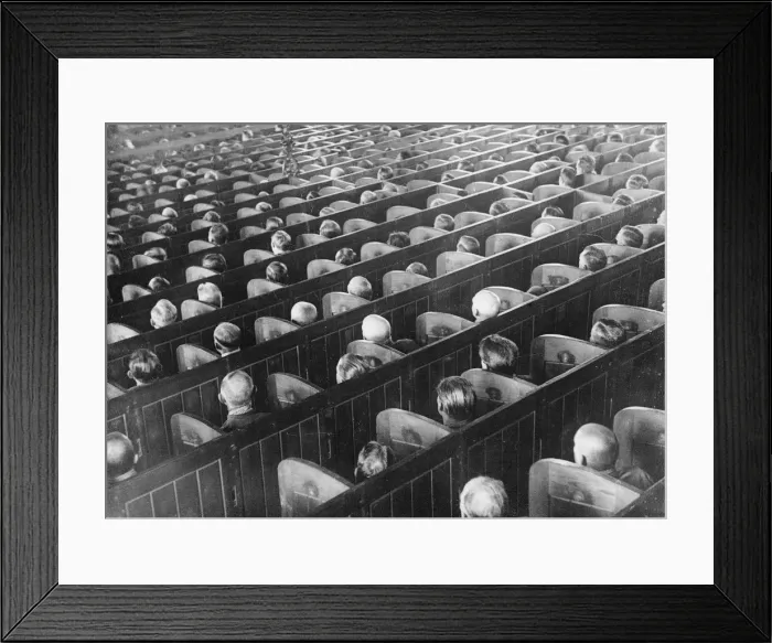 Framed Print : Captive Audience