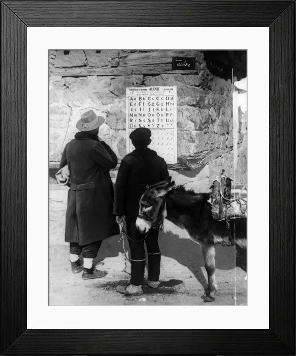 Framed Print : D Is For Donkey Framed Print : D Is For Donkey