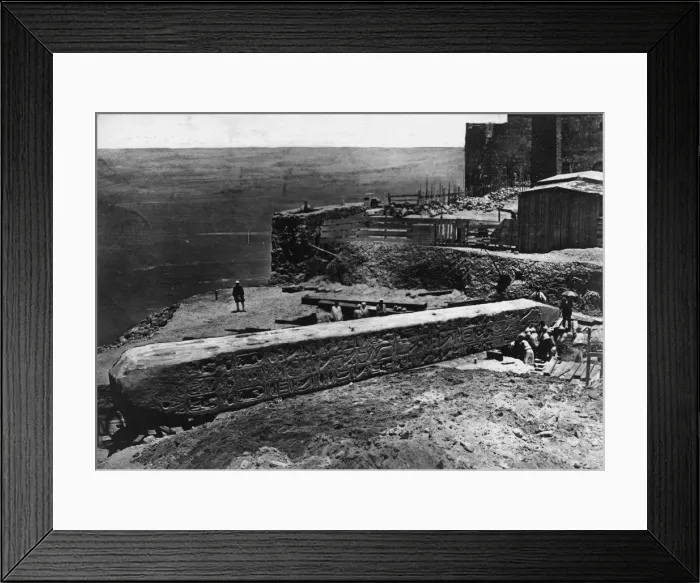 Framed Print : Depredation Framed Print : Depredation
