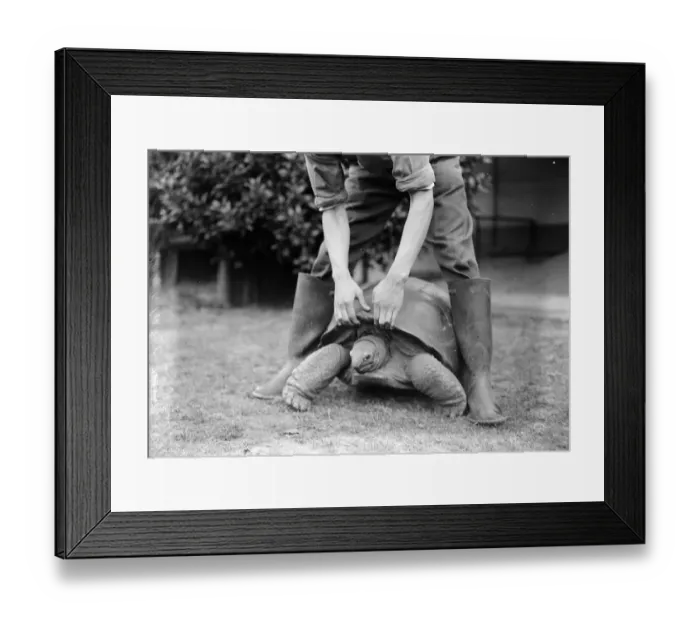 Framed Print : Camera Shy Framed Print : Camera Shy