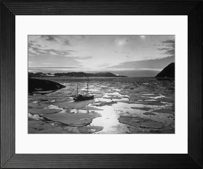 Framed Print : Caught In Ice Framed Print : Caught In Ice
