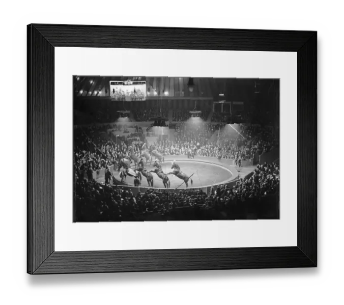 Framed Print : Circus Animals Framed Print : Circus Animals