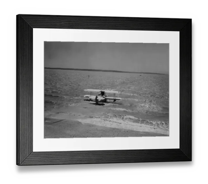 Framed Print : Flying Walrus Framed Print : Flying Walrus