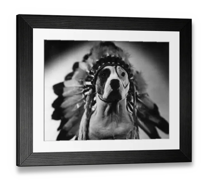 Framed Print : Injun Pete Framed Print : Injun Pete