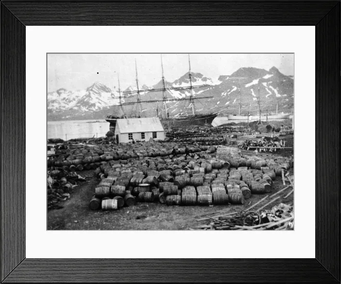 Framed Print : Whaling Station Framed Print : Whaling Station