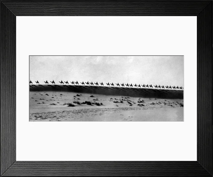 Framed Print : Mounted Police Framed Print : Mounted Police