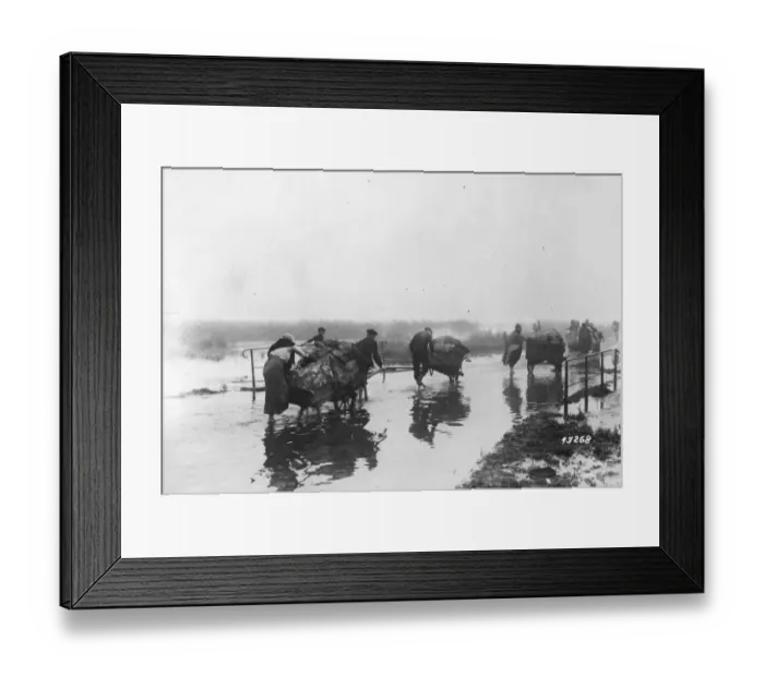 Framed Print : Fleeing The Flood Framed Print : Fleeing The Flood