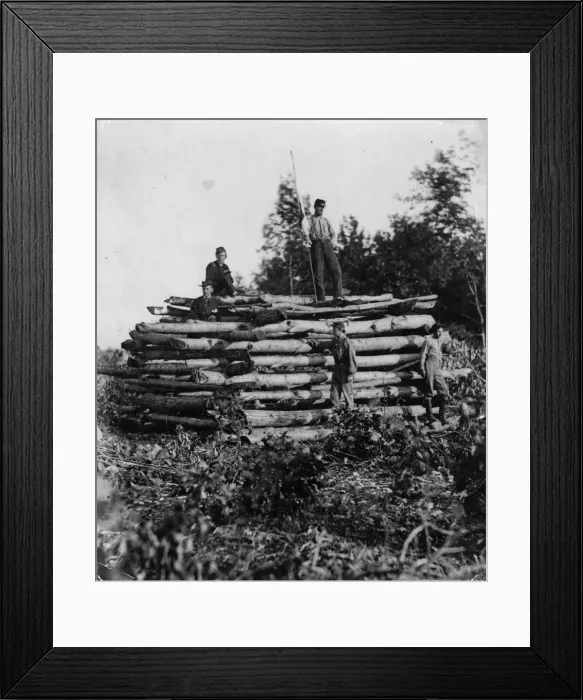 Framed Print : American Guards Framed Print : American Guards