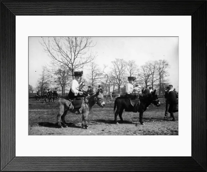 Framed Print : Dokey Rides Framed Print : Dokey Rides