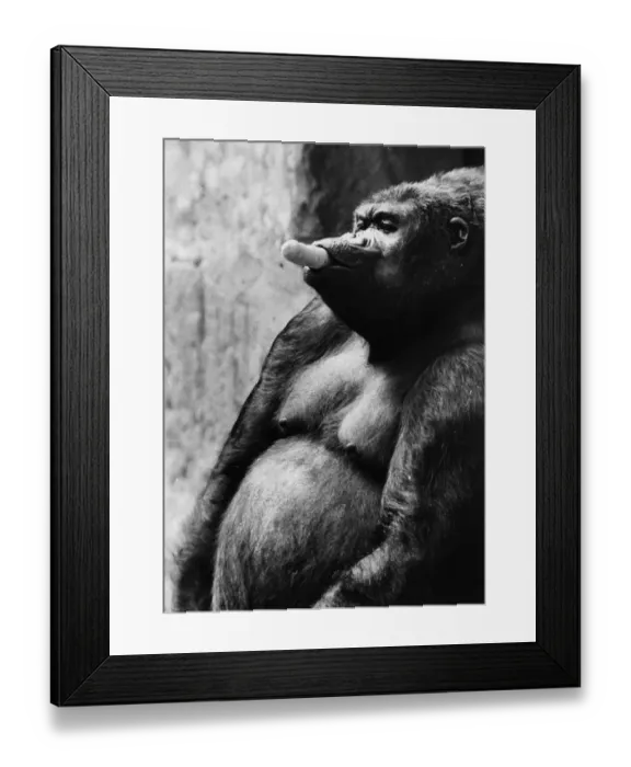 Framed Print : Look No Hands Framed Print : Look No Hands
