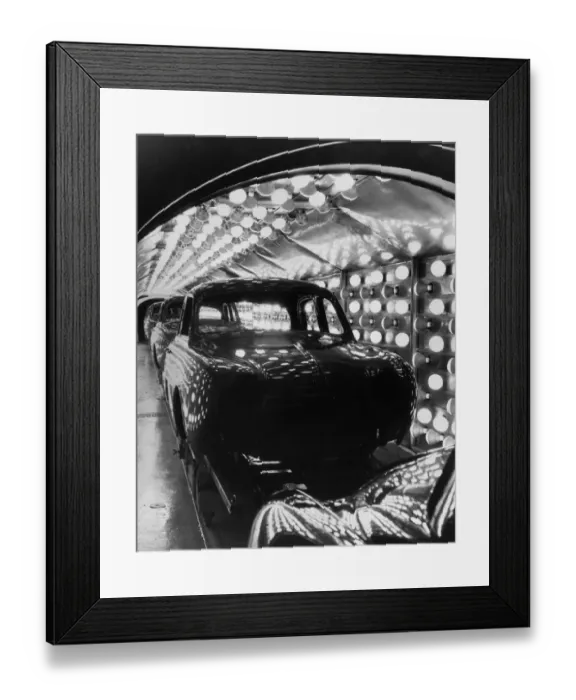 Framed Print : Drying Dauphines Framed Print : Drying Dauphines