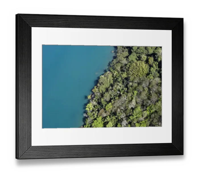 Framed Print : Rainforest Meeting Water Framed Print : Rainforest Meeting Water