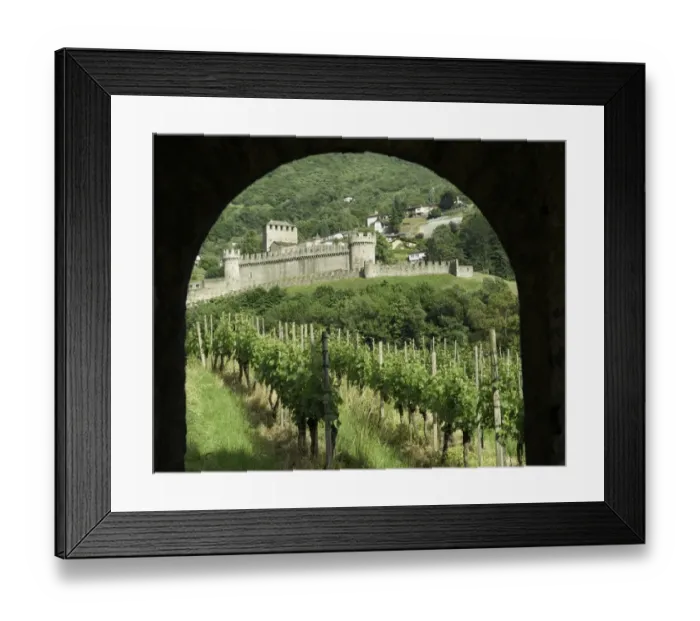 Framed Print : Castello di Montebello with vineyard in foreground