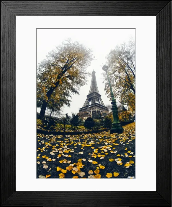 Framed Print : Autumn in Paris Framed Print : Autumn in Paris