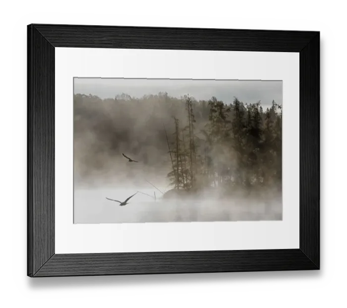 Framed Print : Costello Creek in Algonquin Park Framed Print : Costello Creek in Algonquin Park