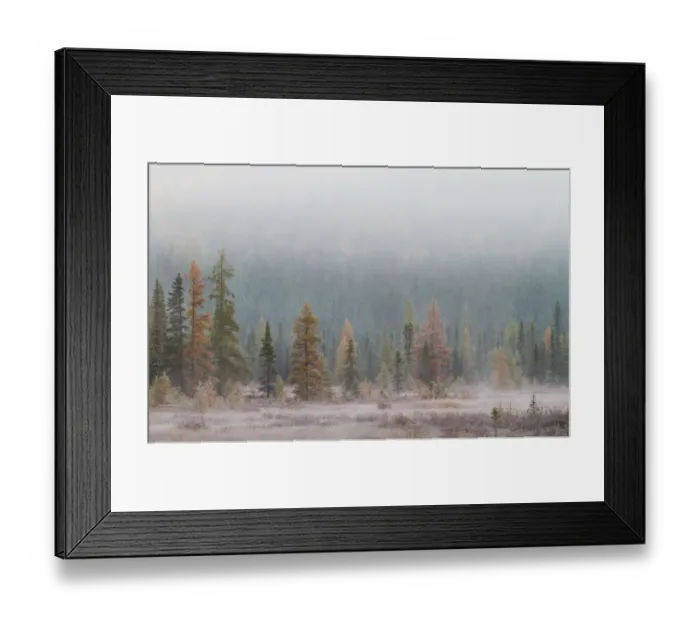 Framed Print : Algonquin Park Framed Print : Algonquin Park