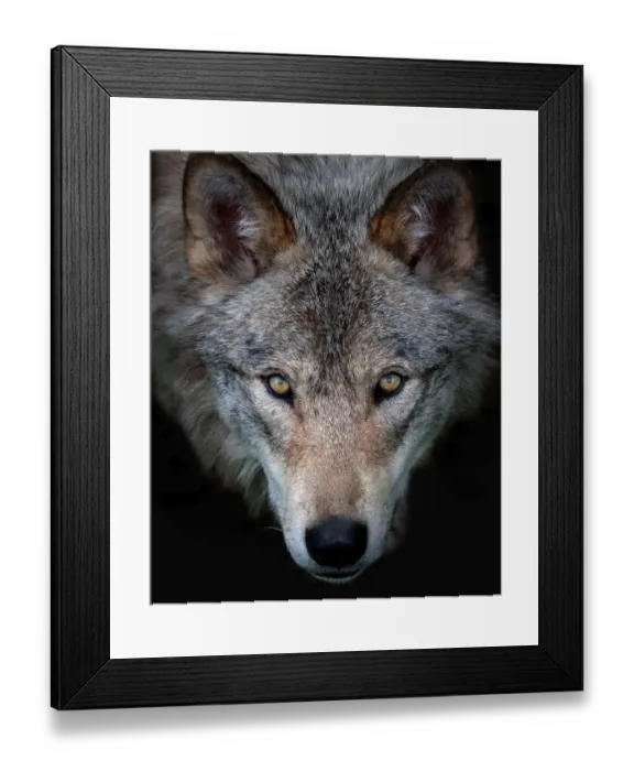 Framed Print : All the better to see with my child