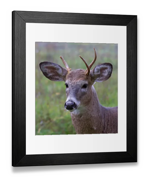 Framed Print : Under Development Framed Print : Under Development