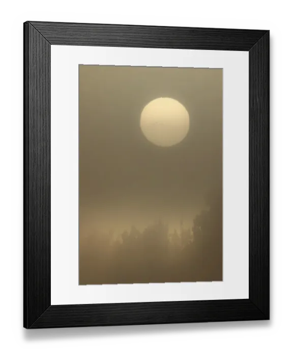 Framed Print : Sunspots Framed Print : Sunspots