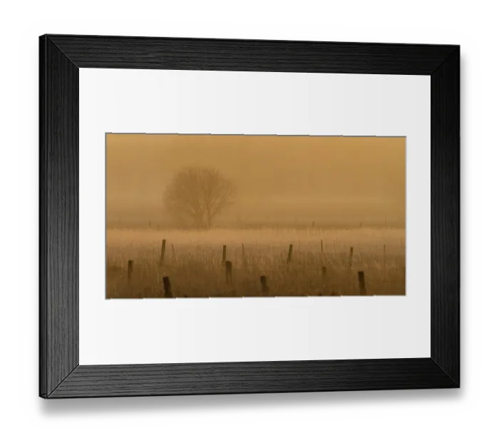Framed Print : Fence Posts Framed Print : Fence Posts
